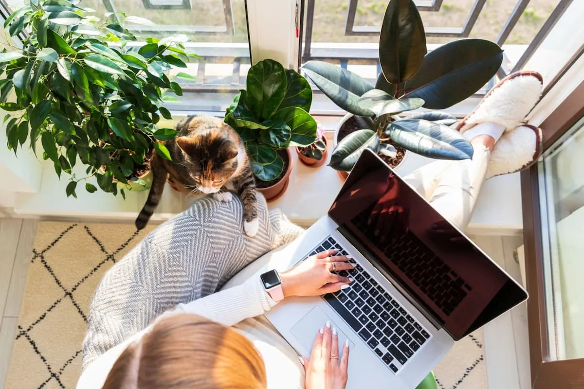 How To Establish Disciplined Remote Work Without Putting Too Much Pressure On The Team?