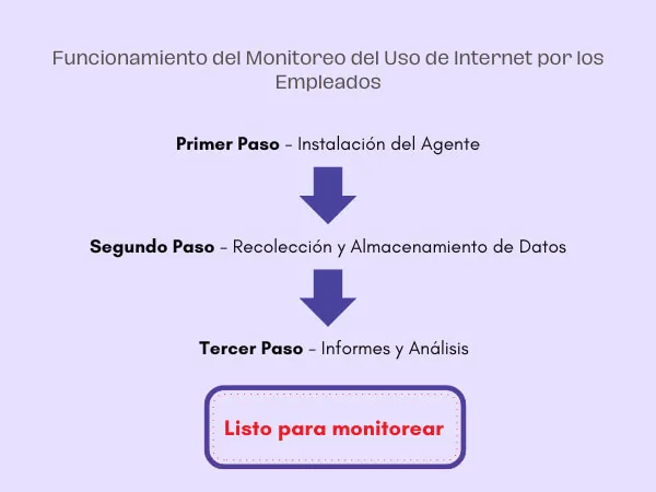 Funcionamiento del Monitoreo del Uso de Internet por los Empleados