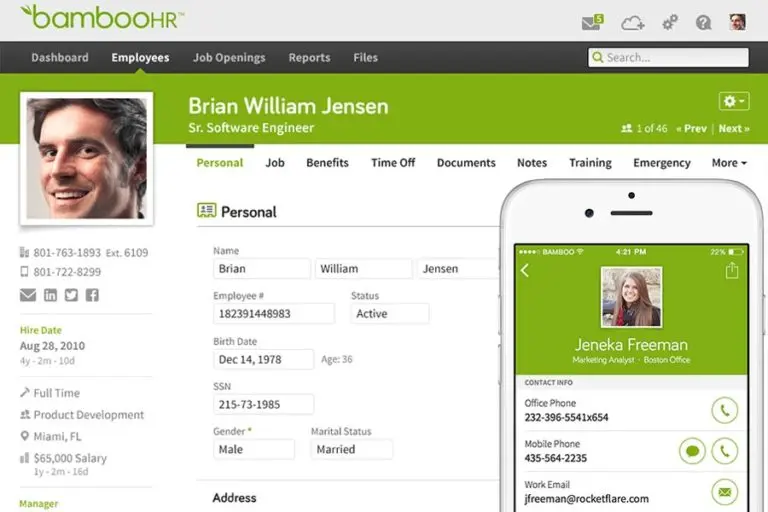 BambooHR dashboard