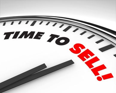 Portrait of Effective Seller
